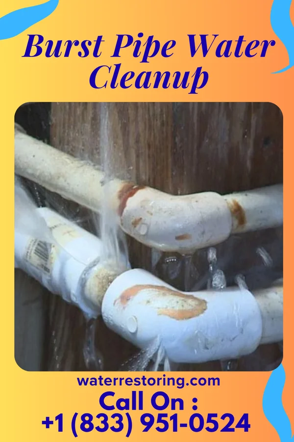 Burst Pipe Water Cleanup in Cameron, WI