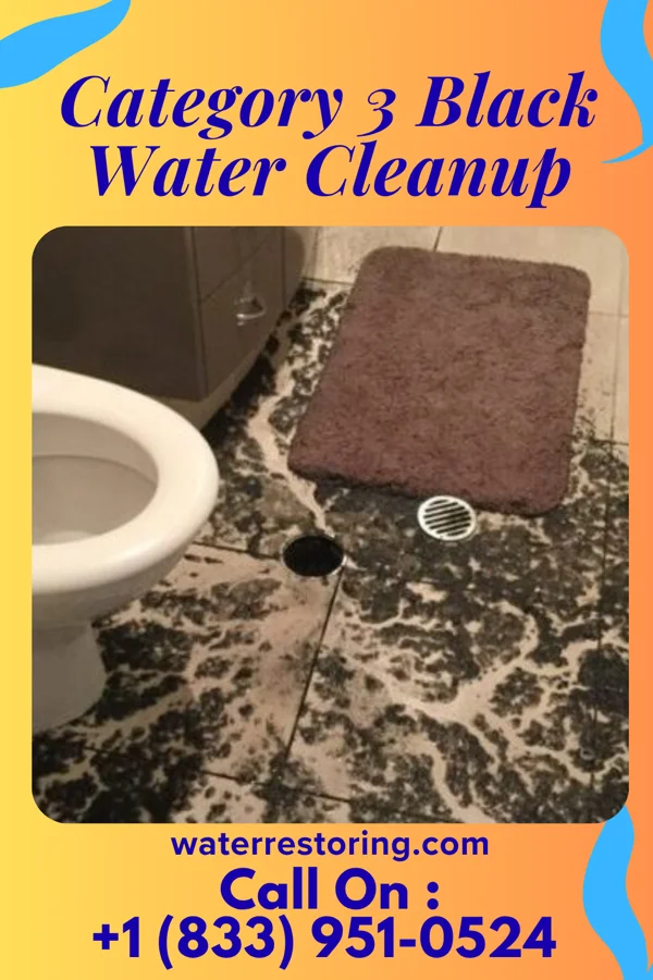 Category 3 Black Water Cleanup in Cameron, WI
