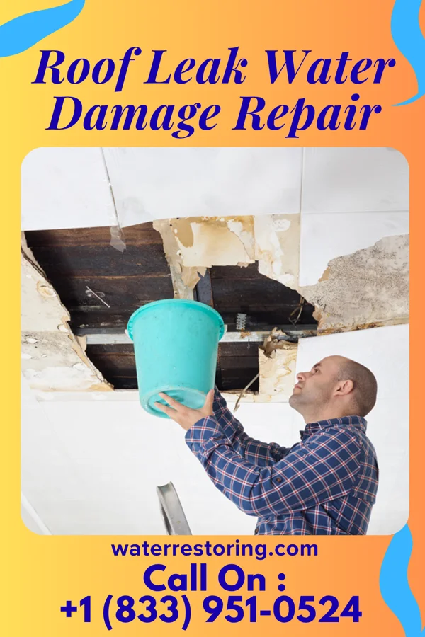 Roof Leak Water Damage Repair in Cameron, WI