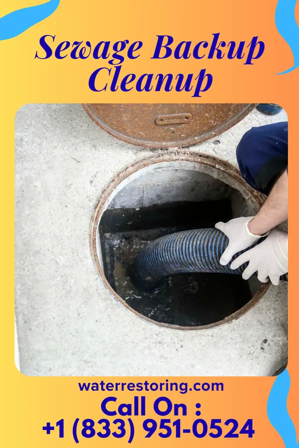 Sewage Backup Cleanup in Cameron, WI