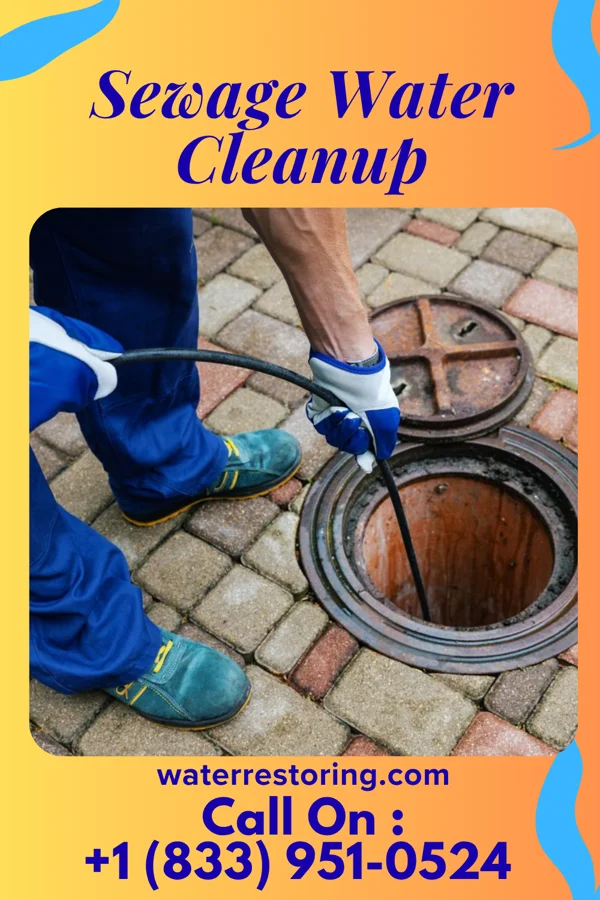 Sewage Water Cleanup in Cameron, WI